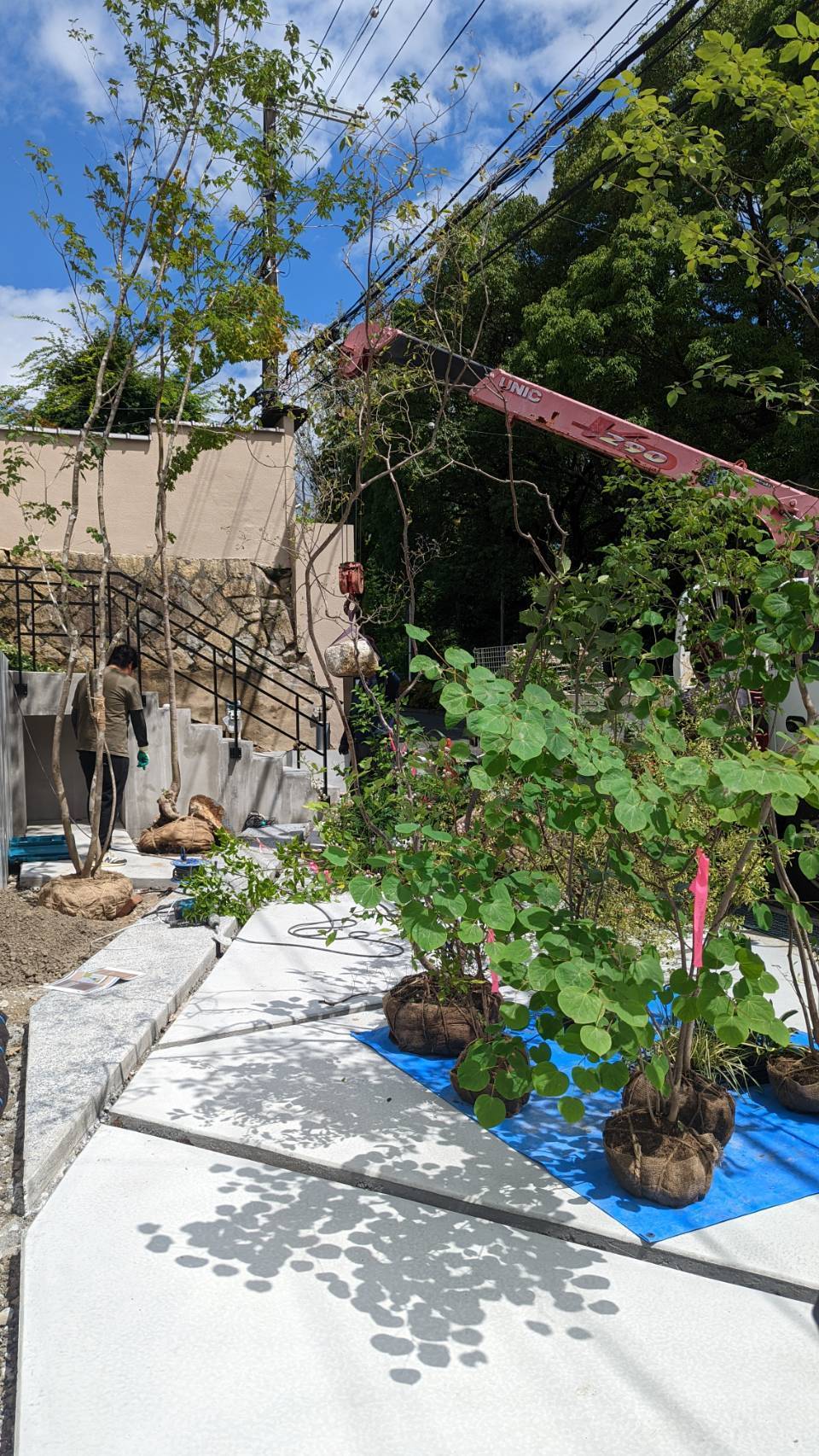 植栽現場